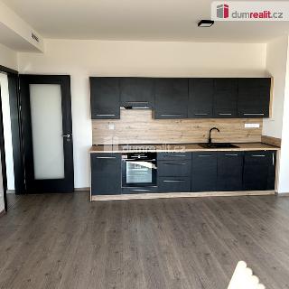 Pronájem bytu 2+kk 56 m² Praha, Malkovského