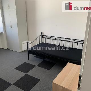 Pronájem bytu 1+kk a garsoniéry 17 m² Praha, Pilská