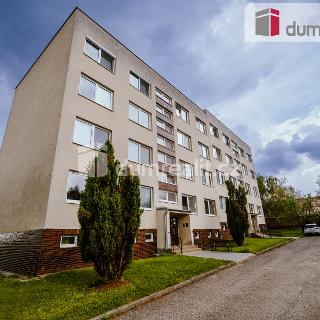 Prodej bytu 3+1 68 m² Moravská Nová Ves, Luční