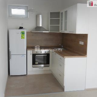 Pronájem bytu 2+kk 41 m² Praha, Za luhem