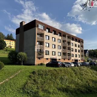 Prodej bytu 1+1 35 m² Rokytnice nad Jizerou, Horní Rokytnice