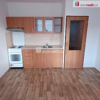 Pronájem bytu 1+1 36 m² Děčín, Vítova