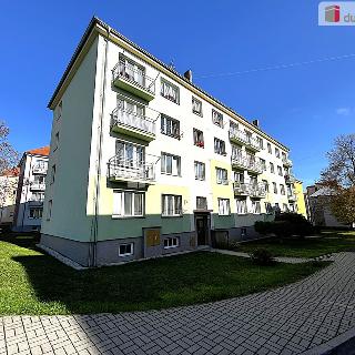 Prodej bytu 2+1 54 m² Kynšperk nad Ohří, Jana Jiskry