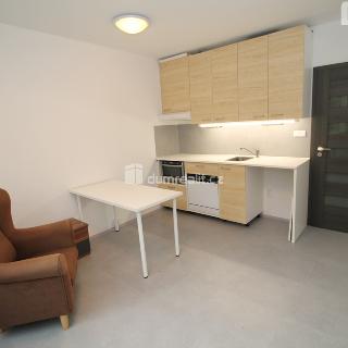 Pronájem bytu 1+kk a garsoniéry 20 m² Mariánské Lázně, Kubelíkova