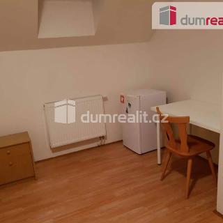 Pronájem bytu 1+kk a garsoniéry 15 m² Praha, Zenklova