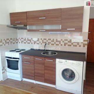 Pronájem bytu 1+1 35 m² Jílové