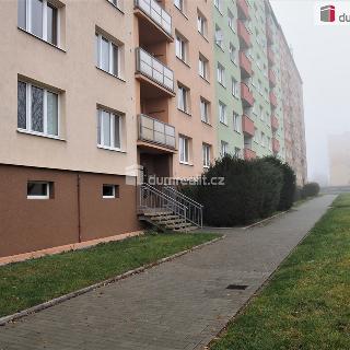 Pronájem bytu 1+kk a garsoniéry 20 m² Ostrov, Jungmannova