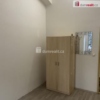 Pronájem bytu 1+kk a garsoniéry 17 m² Praha, Zenklova