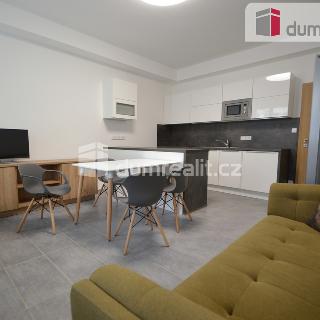 Pronájem bytu 2+kk 54 m² Praha, Sokolovská