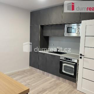 Pronájem bytu 1+1 44 m² Praha, Thámova