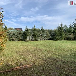 Prodej stavební parcely 4 059 m² Tmaň, Lounín