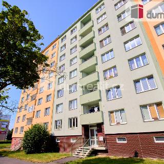 Prodej bytu 1+kk a garsoniéry 20 m² Ostrov, Kollárova