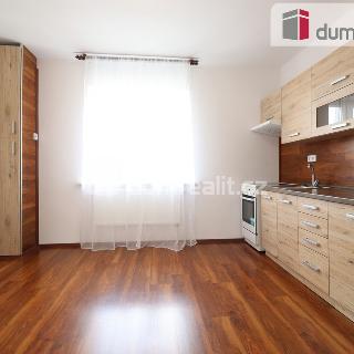 Pronájem bytu 1+1 39 m² Dalovice, Borská