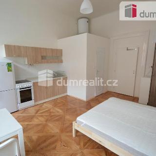 Pronájem bytu 1+kk a garsoniéry 25 m² Praha, Svornosti