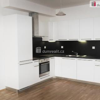 Pronájem bytu 1+kk, garsoniery 47 m² Praha