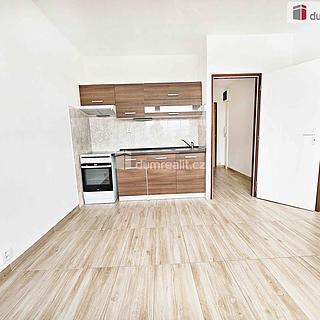Pronájem bytu 1+1 35 m&sup2; Verneřice