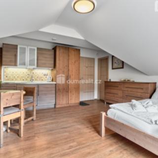 Prodej bytu 1+kk, garsoniery 27 m² Merklín