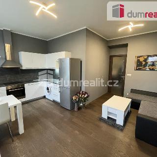 Pronájem bytu 2+kk 45 m² Praha, Rybalkova