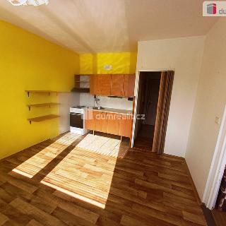 Prodej bytu 1+1 35 m² Děčín, Krásnostudenecká