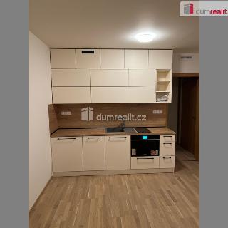 Pronájem bytu 1+kk, garsoniery 30 m² Praha