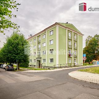 Prodej bytu 2+1 67 m² Ostrov, S. K. Neumanna