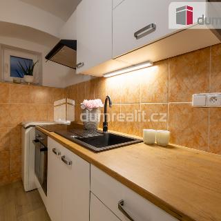 Prodej bytu 2+1 38 m² Chýně, Družstevní