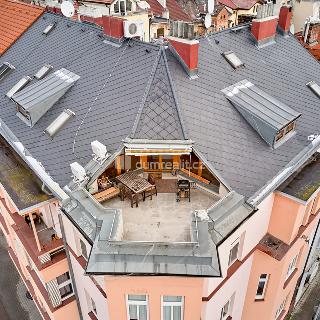 Prodej bytu 5+1 a více 212 m² Plzeň, Němejcova