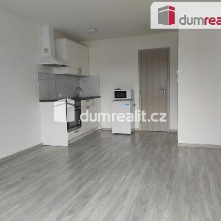 Pronájem bytu 1+kk a garsoniéry 28 m² Dobrovice, Na Hložku