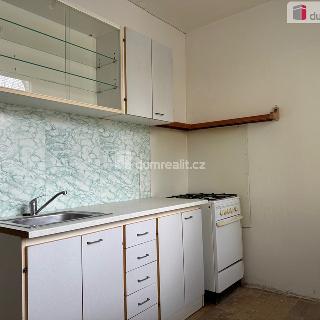 Pronájem bytu 1+1 36 m² Ostrov, Májová