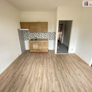 Pronájem bytu 2+kk 36 m² Jílové, Školní