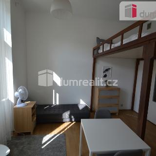 Pronájem bytu 1+kk a garsoniéry 30 m² Praha, Plzeňská