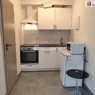 Pronájem bytu 1+kk a garsoniéry 25 m² Kolín, Rubešova