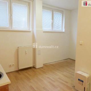 Pronájem bytu 1+kk a garsoniéry 21 m² Praha, Mošnova