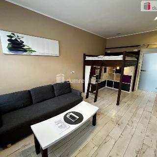 Pronájem bytu 1+1 38 m² Karlovy Vary, Jízdárenská