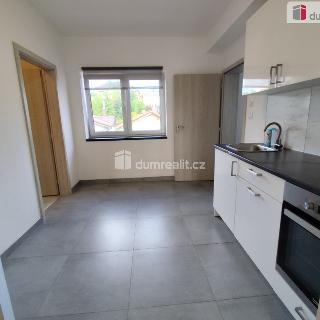 Pronájem bytu 2+1 55 m² Dobrovice, Na Hložku