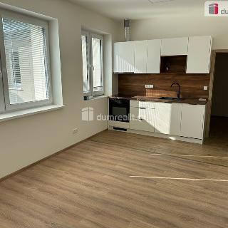 Pronájem bytu 1+kk a garsoniéry 30 m² Veselí nad Moravou, Svatoplukova