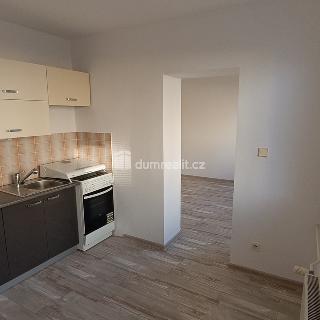 Pronájem bytu 1+1 35 m² Luštěnice, Zelená