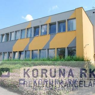 Pronájem kanceláře 94 m² Boršov nad Vltavou, U Sila