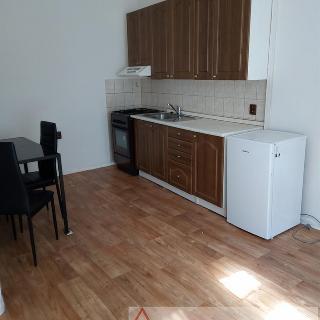 Pronájem bytu 1+kk a garsoniéry 38 m² Plzeň, 