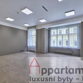 Pronájem ostatního komerčního prostoru 169 m² Praha, Spálená