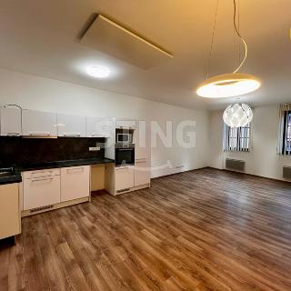 Pronájem bytu 3+kk 104 m² Frýdek-Místek, Tržní