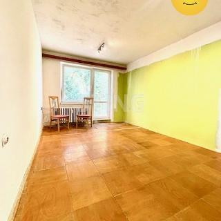 Prodej bytu 1+1 40 m² Hodonín, P. Jilemnického