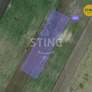 Prodej zemědělské půdy 9180 m&sup2; Moravský Žižkov