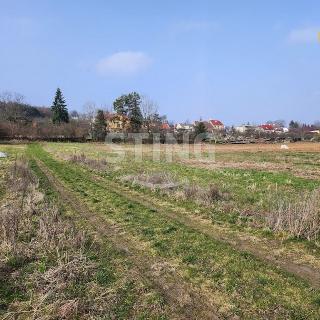 Prodej stavební parcely 978 m² Buk