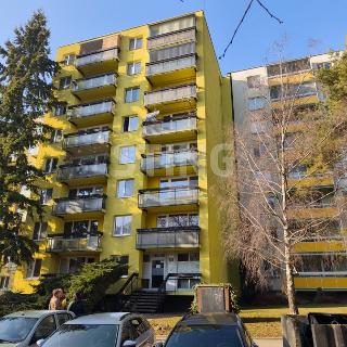 Prodej bytu 1+kk a garsoniéry 28 m² Brno, Moldavská