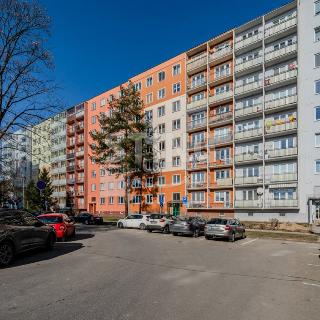 Prodej bytu 3+1 65 m² Ostrava, Svojsíkova