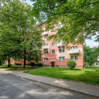 Pronájem bytu 2+1 51 m² Ostrava, Španielova