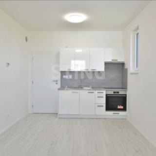 Pronájem bytu 1+kk a garsoniéry 27 m² České Budějovice, Na Zlaté stoce