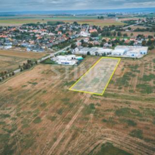 Prodej komerčního pozemku 6059 m&sup2; Mikulovice