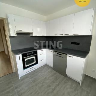 Pronájem bytu 2+1 50 m² Razová